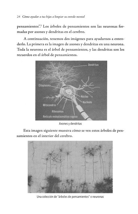 Cómo Ayudar A Tus Hijos A Limpiar Su Enredo Mental - Tapa Blanda - Caroline Leaf - Imagen 8