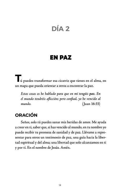 Sanando El Corazón - Tapa Blanda - José Luis Navajo - Imagen 11