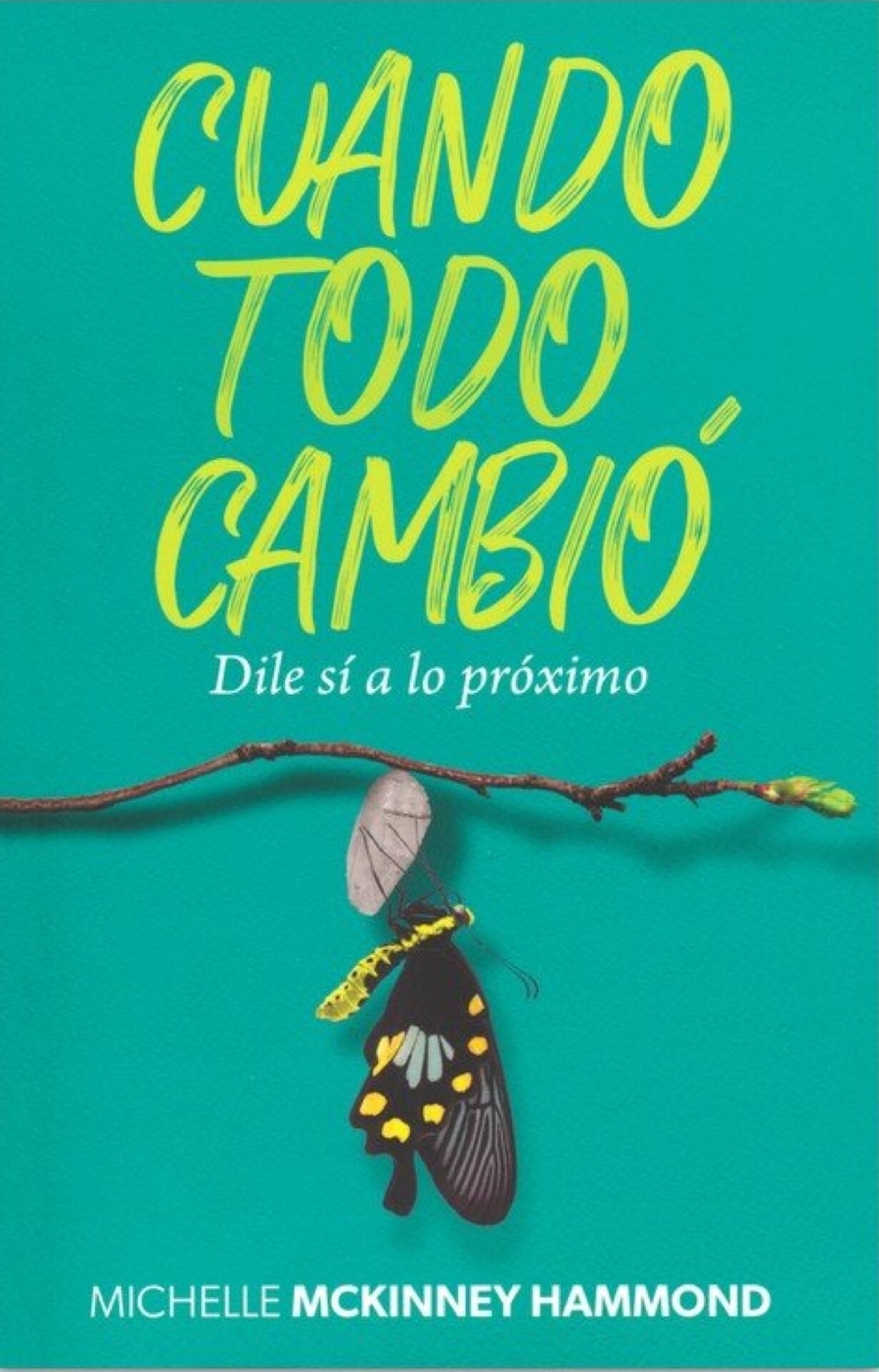 Cuando Todo Cambió - Tapa Blanda - Michelle McKinney Hammond