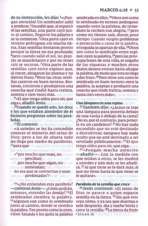 NVI, Nuevo Testamento De Bolsillo, Con Salmos Y Proverbios, Revisión 2022, Tapa Blanda Luces Brillantes - Imagen 8