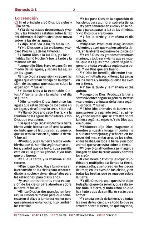 RVR60, Biblia de Estudio para Jóvenes, Imitación Piel Oro Rosa, Palabras de Jesús en Rojo, Comfort Print - Imagen 4