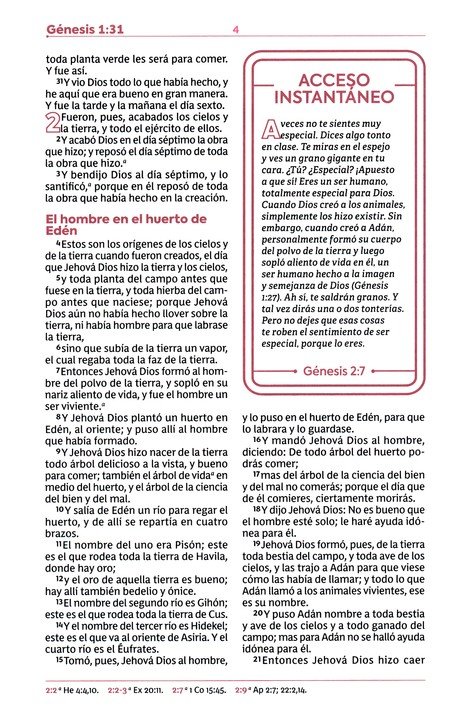RVR60, Biblia de Estudio para Jóvenes, Imitación Piel Oro Rosa, Palabras de Jesús en Rojo, Comfort Print - Imagen 6