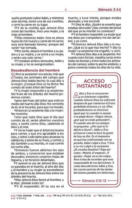 RVR60, Biblia de Estudio para Jóvenes, Imitación Piel Oro Rosa, Palabras de Jesús en Rojo, Comfort Print - Imagen 7