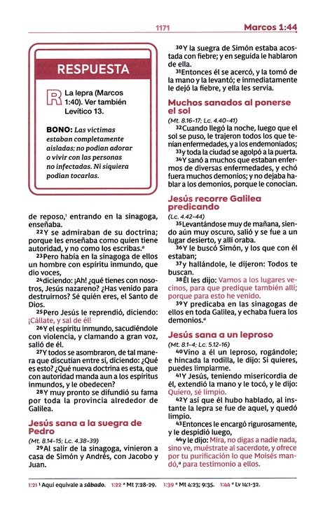 RVR60, Biblia de Estudio para Jóvenes, Imitación Piel Oro Rosa, Palabras de Jesús en Rojo, Comfort Print - Imagen 9