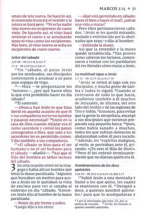 NVI, Nuevo Testamento De Bolsillo, con Salmos y Proverbios, Revisión 2022, Tapa Blanda, Azul Añil - Imagen 6
