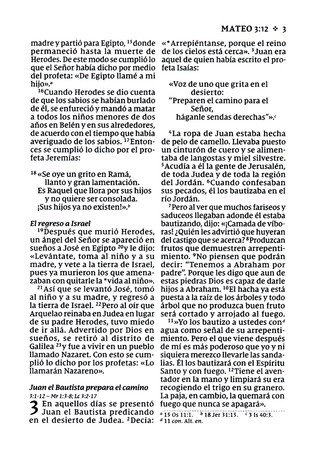 NVI, Nuevo Testamento De Bolsillo, con Salmos y Proverbios, Tapa Blanda, Blanco - Imagen 6