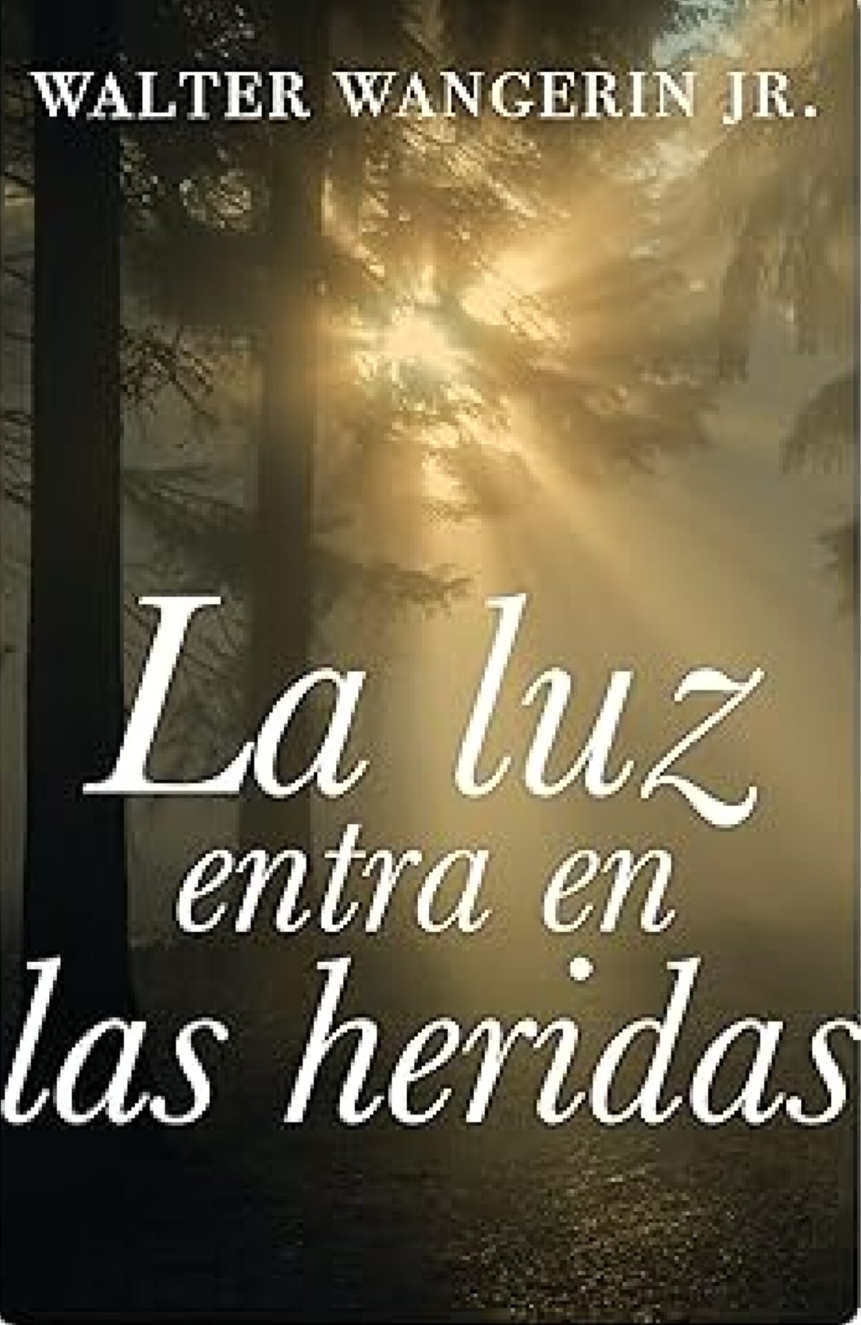 La Luz Entra En Las Heridas - Tapa Blanda - Walter Wangerin