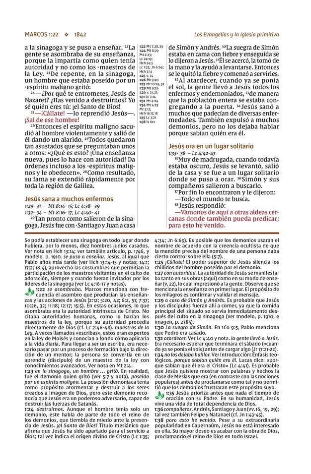 NVI, Biblia De Estudio Actualizada, Revisión 2022, Imitación Piel, Café, Letra Grande, Interior A Color, Palabras De Jesús En Rojo, Comfort Print - Imagen 11