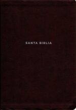 NVI, Biblia De Estudio Actualizada, Revisión 2022, Imitación Piel, Café, Letra Grande, Interior A Color, Palabras De Jesús En Rojo, Comfort Print