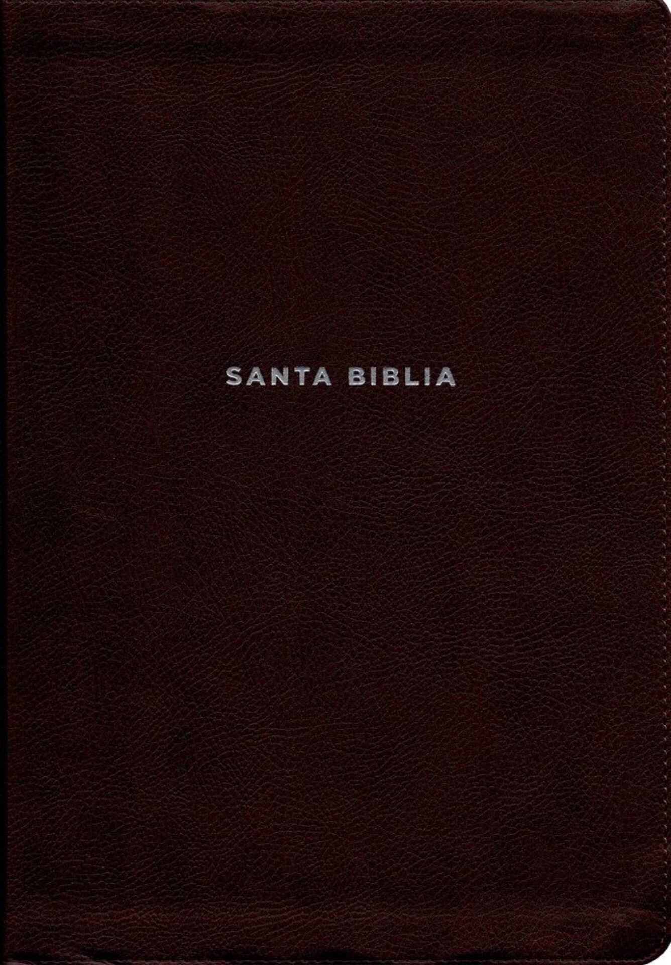 NVI, Biblia De Estudio Actualizada, Revisión 2022, Imitación Piel, Café, Letra Grande, Interior A Color, Palabras De Jesús En Rojo, Comfort Print