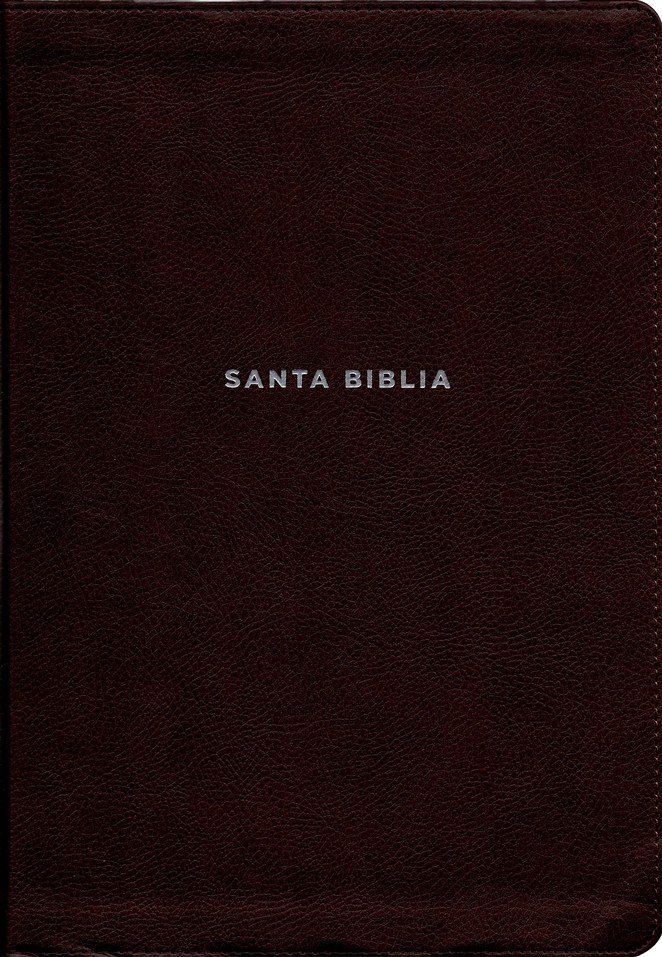 NVI, Biblia De Estudio Actualizada, Revisión 2022, Imitación Piel, Café, Letra Grande, Interior A Color, Palabras De Jesús En Rojo, Comfort Print - Imagen 3