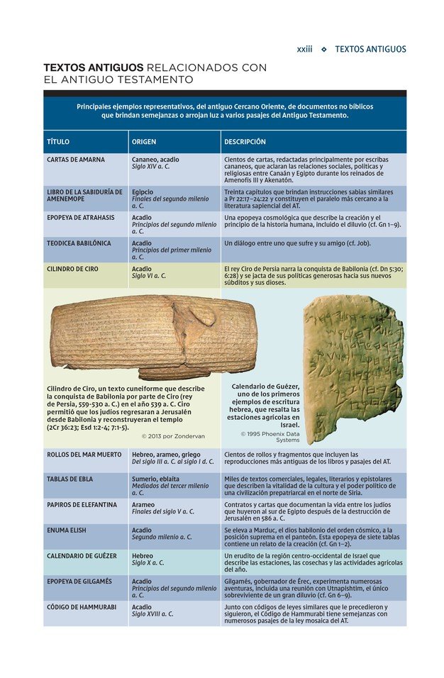 NVI, Biblia De Estudio Actualizada, Revisión 2022, Imitación Piel, Café, Letra Grande, Interior A Color, Palabras De Jesús En Rojo, Comfort Print - Imagen 4