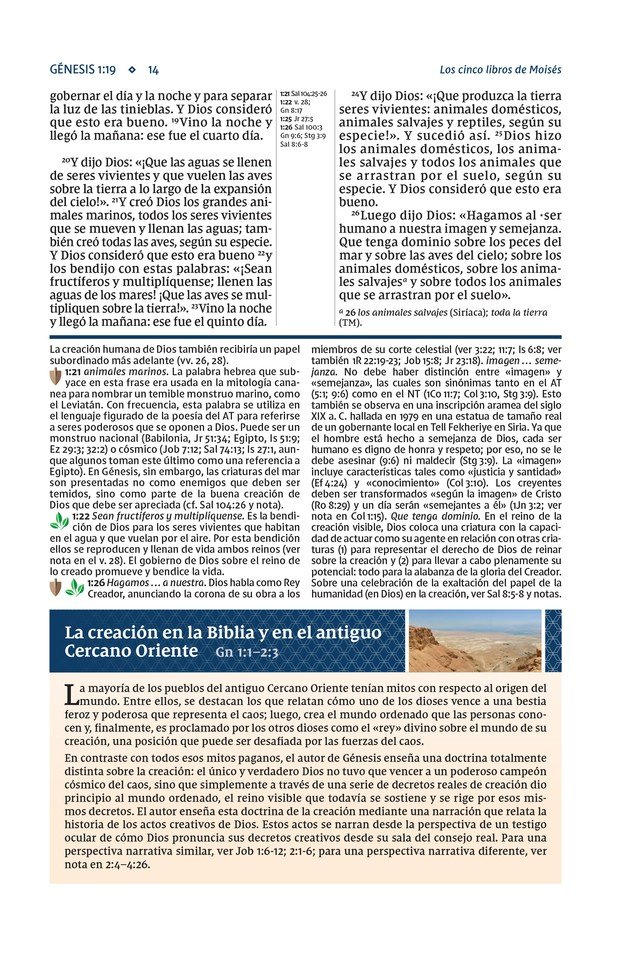 NVI, Biblia De Estudio Actualizada, Revisión 2022, Imitación Piel, Café, Letra Grande, Interior A Color, Palabras De Jesús En Rojo, Comfort Print - Imagen 8