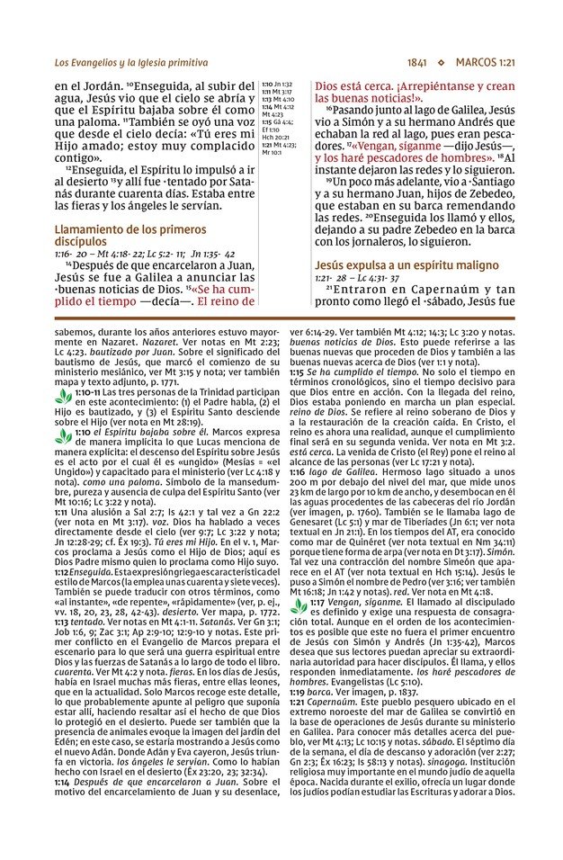 NVI, Biblia De Estudio Actualizada, Revisión 2022, Imitación Piel, Café, Letra Grande, Interior A Color, Palabras De Jesús En Rojo, Comfort Print - Imagen 10