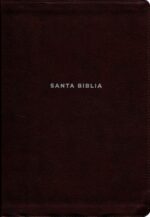 NVI, Biblia De Estudio Actualizada, Revisión 2022, Imitación Piel, Café, Letra Grande, Interior A Color, Palabras De Jesús En Rojo, Con Índice, Comfort Print