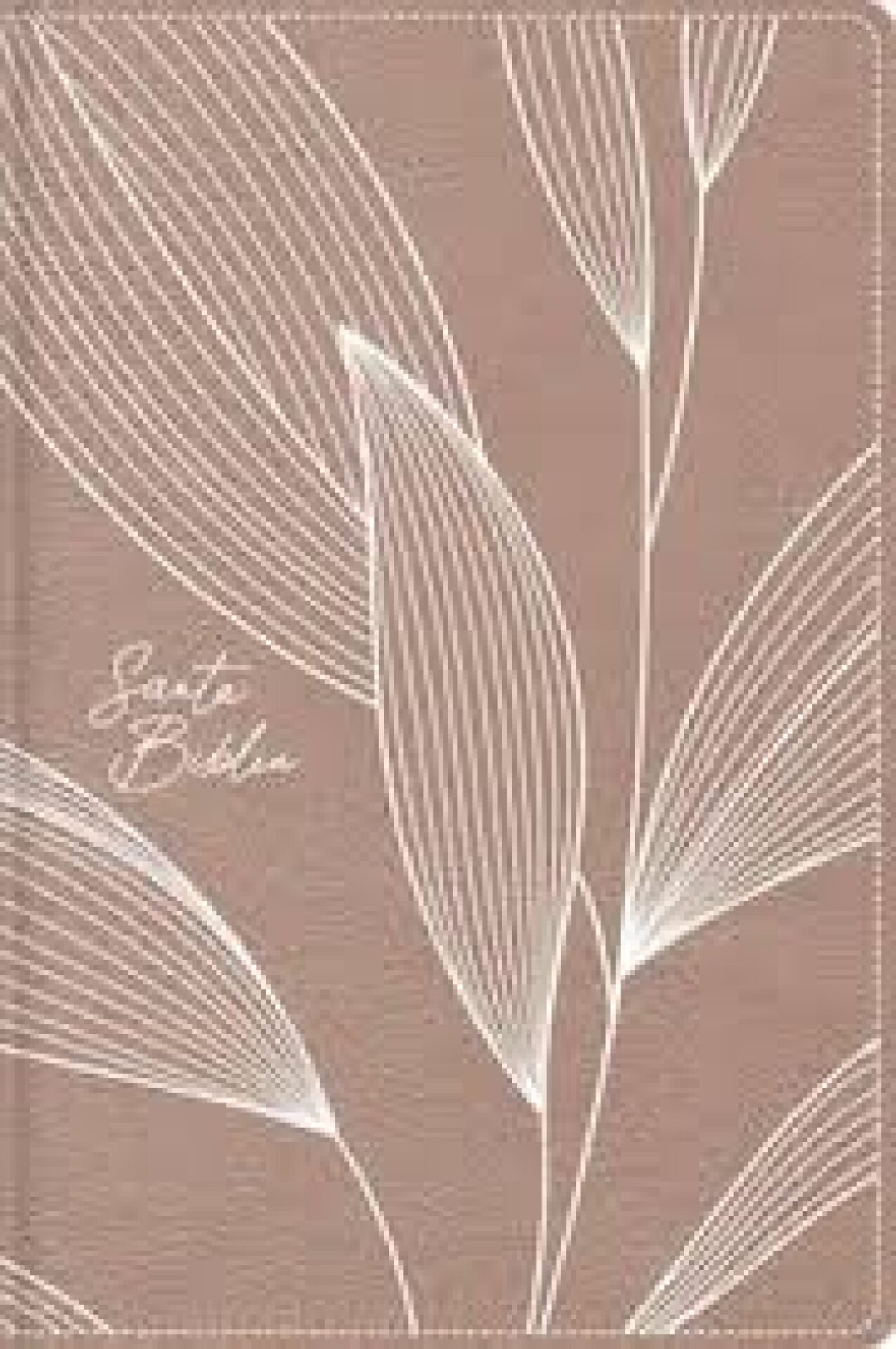 NBLA, Santa Biblia, Edición Misionera, Letra Grande, Tapa Blanda